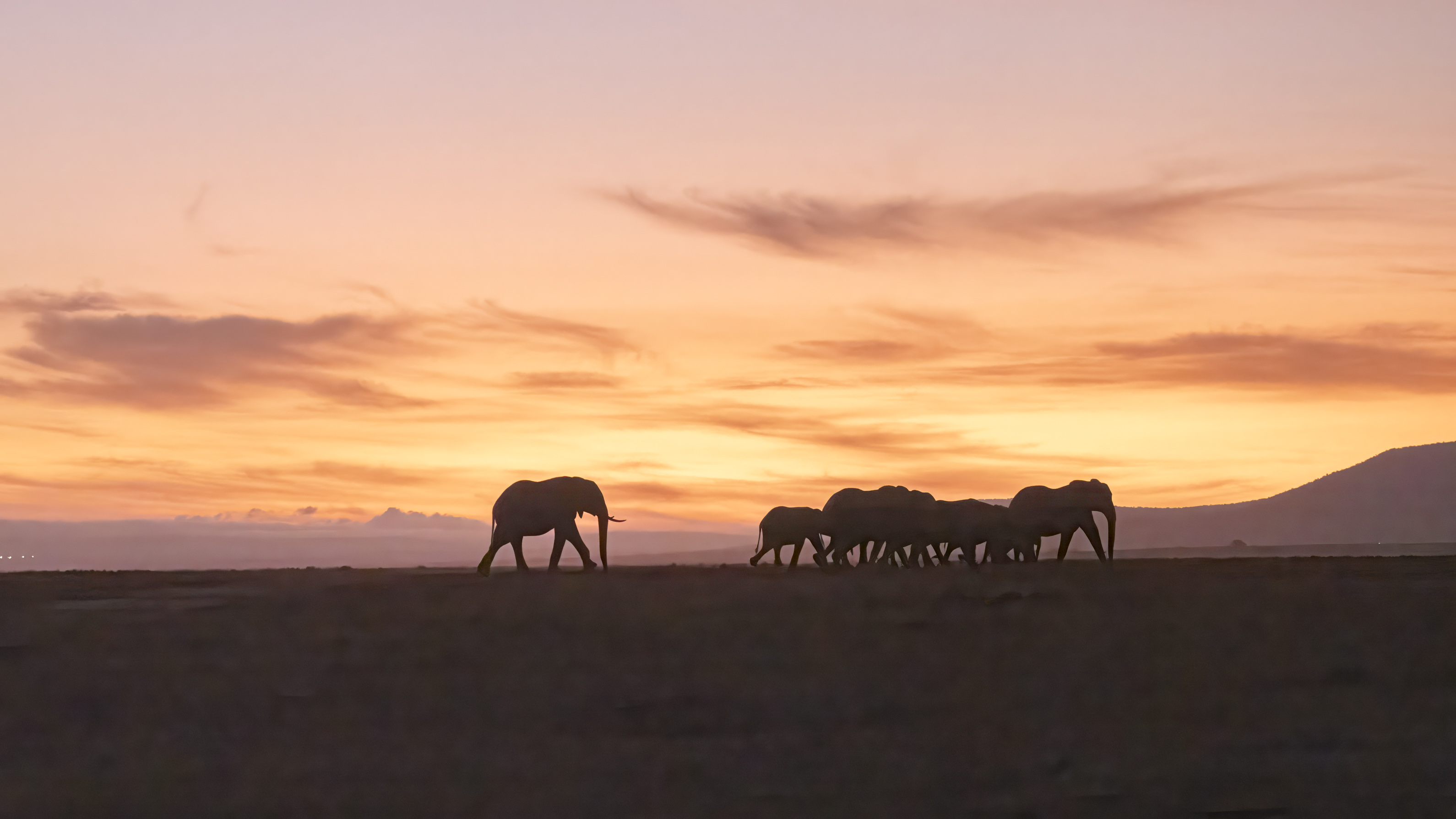 November 10, 2022-054304-2-Edit.jpg